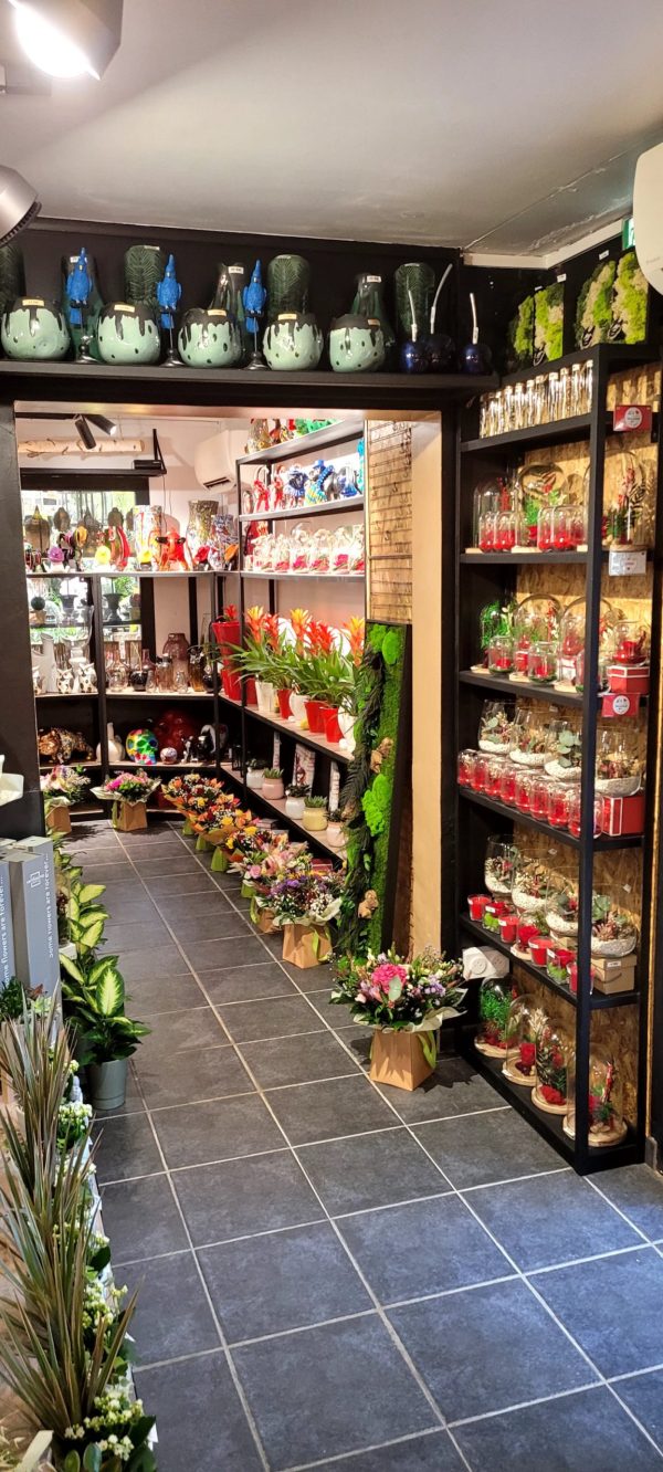 Circuit interieur du magasin – Image 2