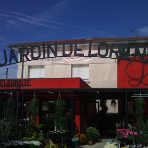 Enseignes lumineuses