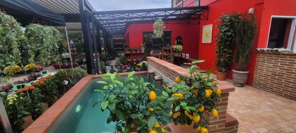 Serre, Pergola et meubles extérieurs