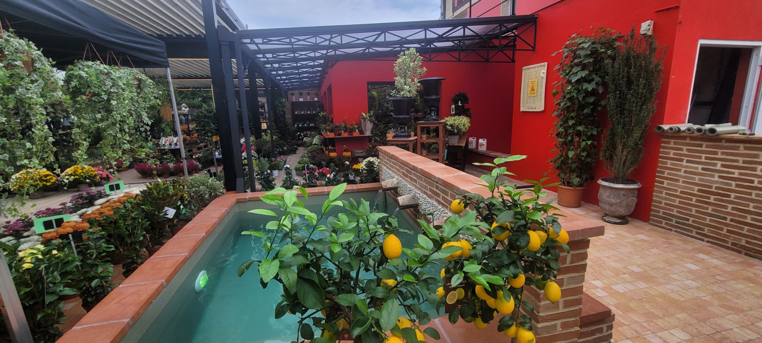 Serre, Pergola et meubles extérieurs