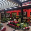 Serre, Pergola et meubles extérieurs