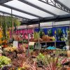Serre, Pergola et meubles extérieurs