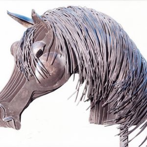 Tête de cheval